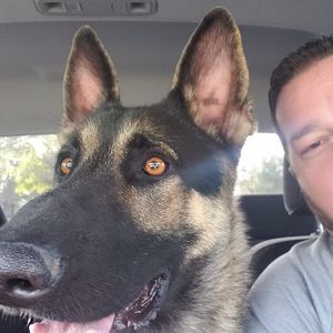 Meet your Posher, Joe